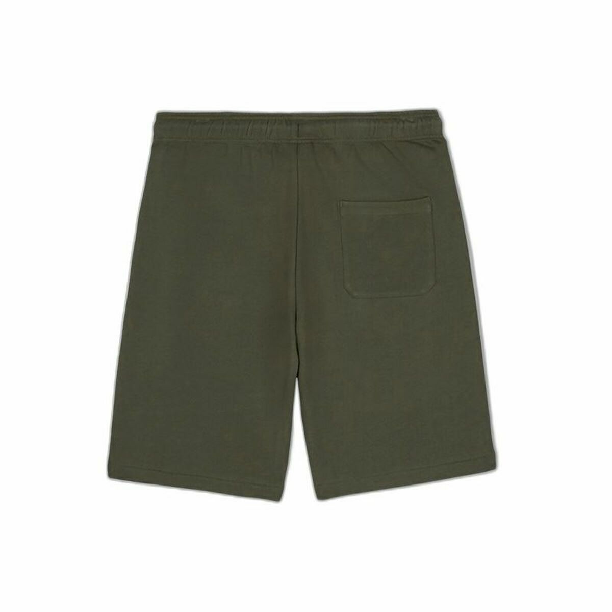 Dickies Mapleton Military Sports Shorts Olive Oil-5