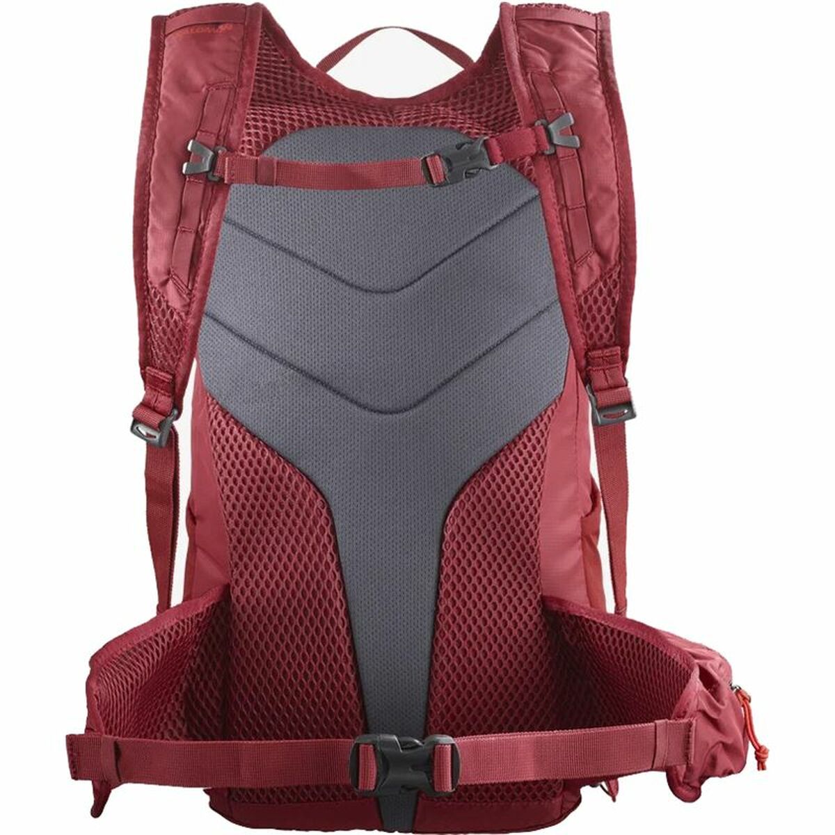 Походный рюкзак Salomon Trailblazer 20 Темно-красный-3