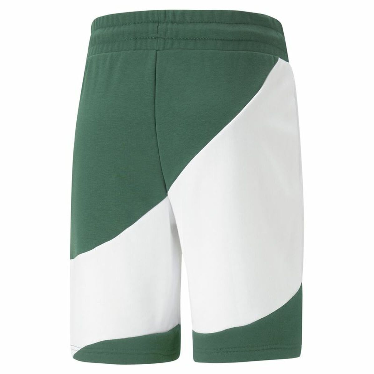 Puma Power Cat Sports Men's Shorts Green-6