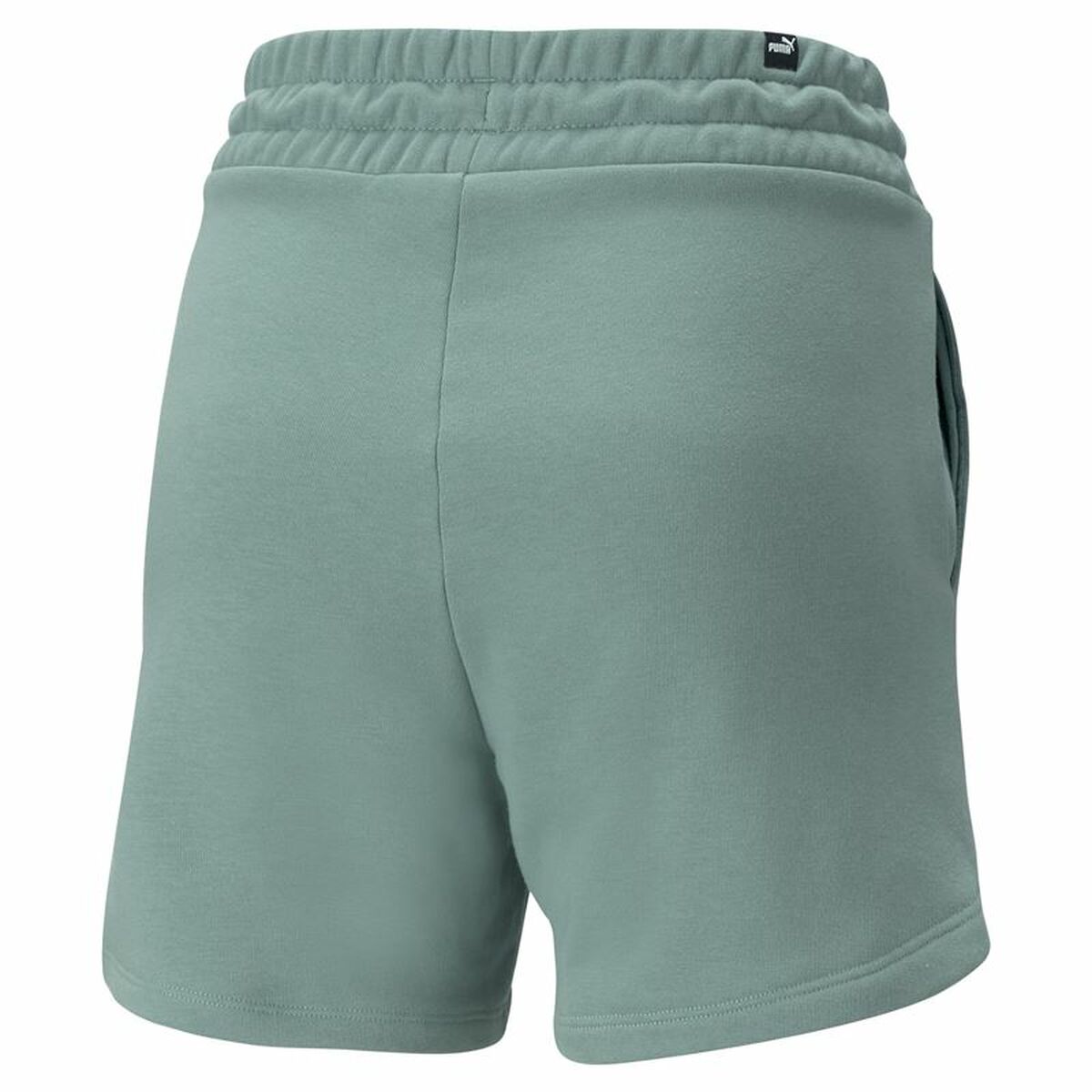 Спорт эркектер шорты Puma Ess 5 Жогорку Waist Aquamarine Green-2