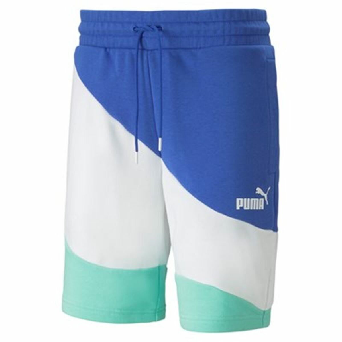 Puma Power Cat Sport Men's Shorts Multicolored-4