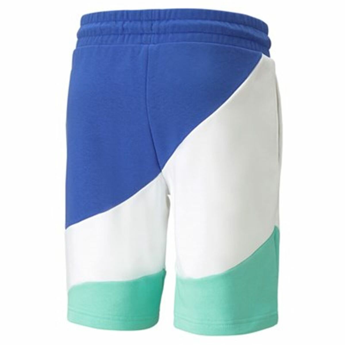 Puma Power Cat Sport Men's Shorts Multicolored-5