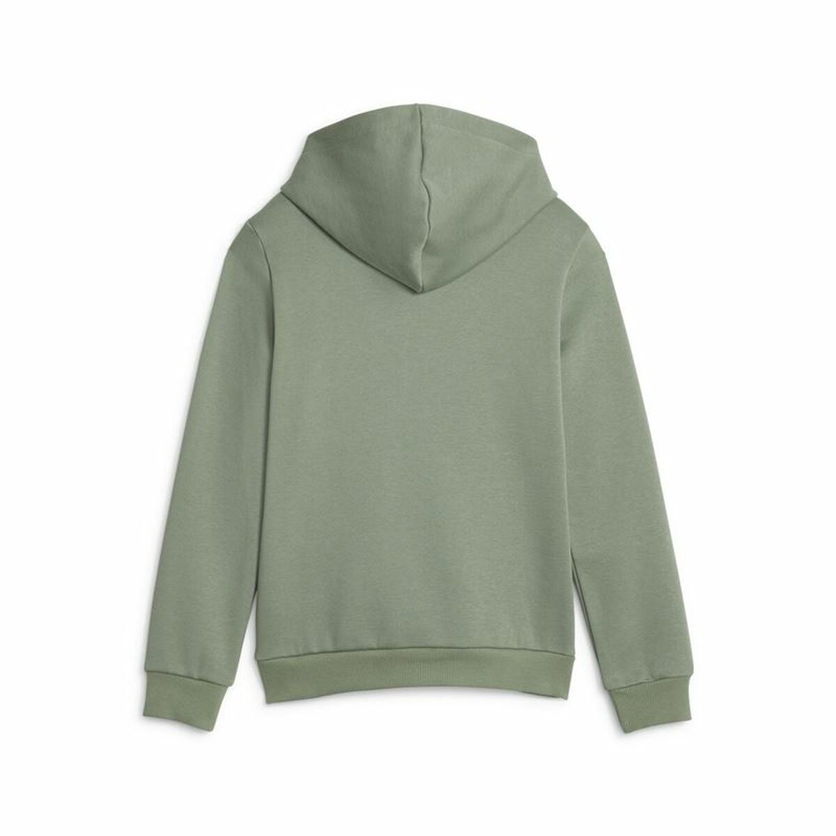 Puma Ess Block Fl Children's Sweatshirt Green-2