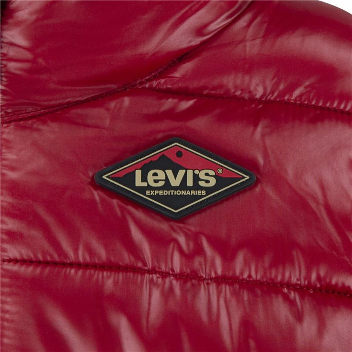 Levi's Sherpa Lined Mdwt Puffer J Rhythmic Children's Sports Jacket Dark Red-2
