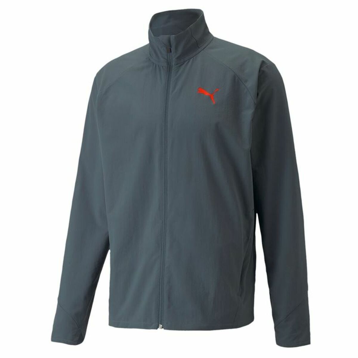 Casaco esportivo masculino Puma Trem Ultraweave Cinza escuro