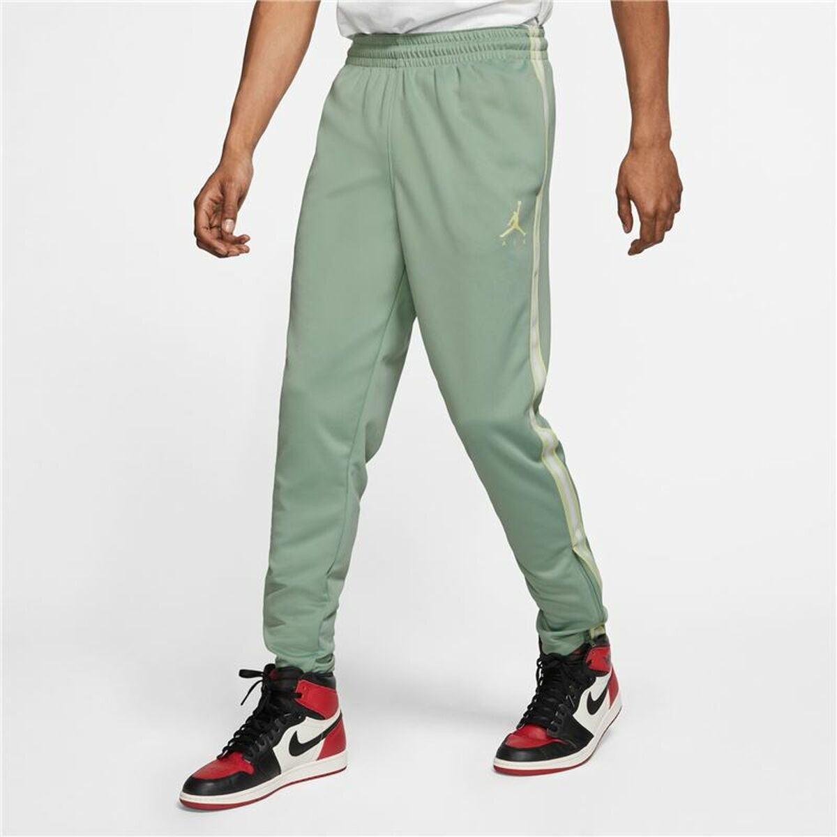 Jordan Jumpman Flight Nike Unisex Aquamarine Adult Pants-5