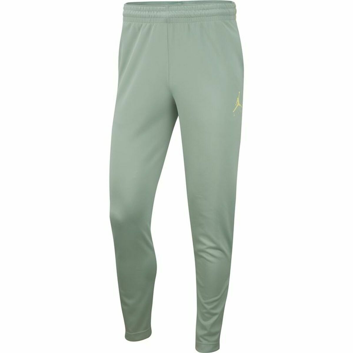 Jordan Jumpman Flight Nike Unisex Aquamarine Adult Pants-8