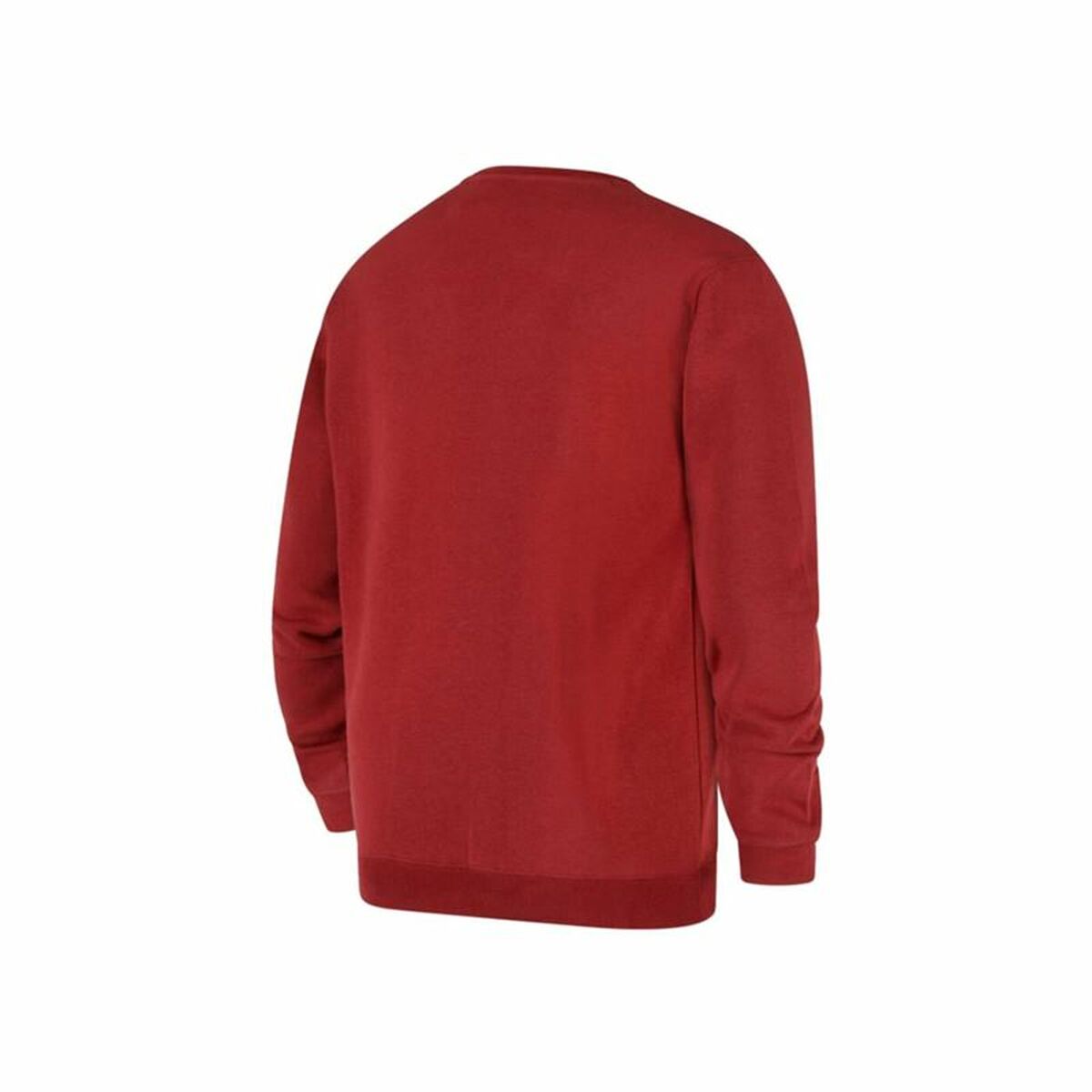Hooded Sweatshirt Men's Champion Red-2