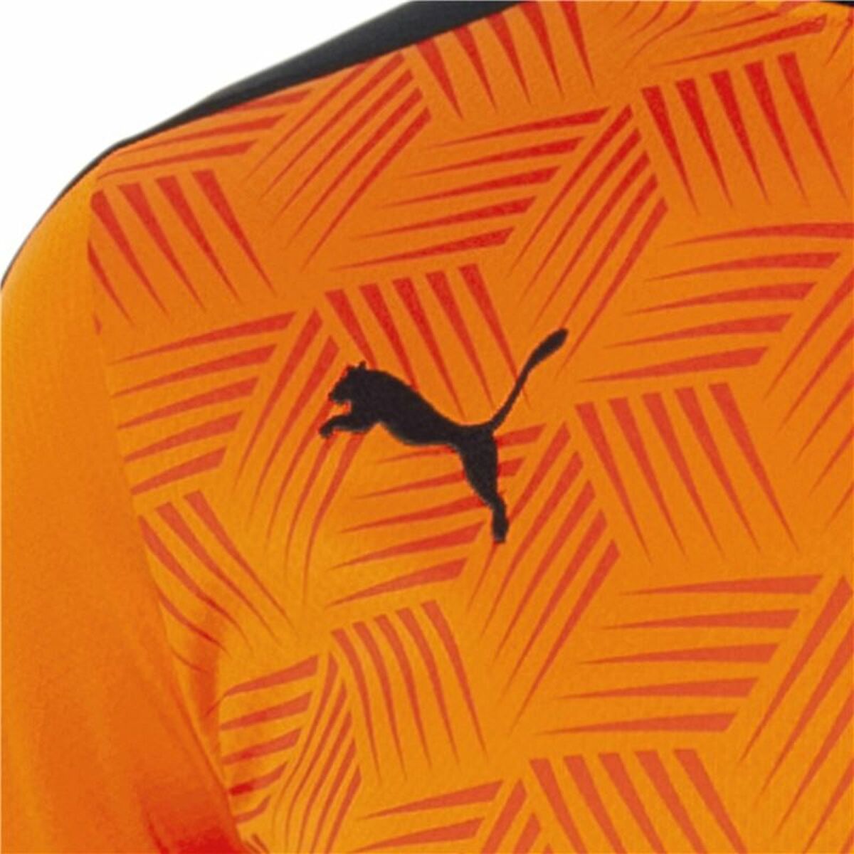 Спортивная футболка с коротким рукавом, мужская Puma Valencia CF 2-4