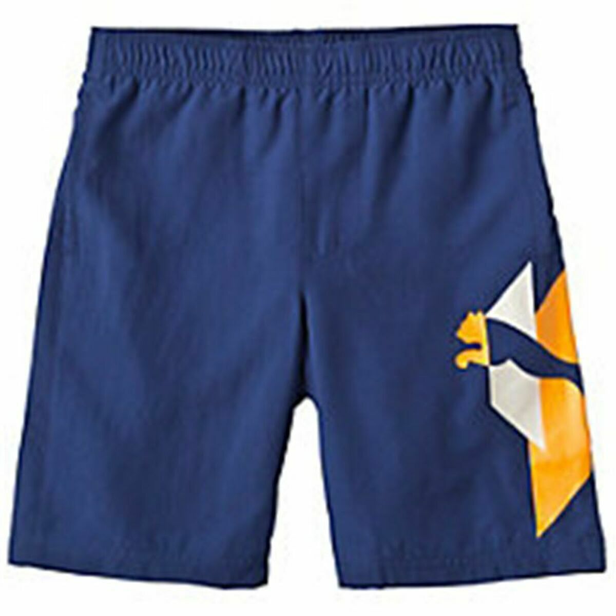 Puma TD Wove Boys Sports Shorts Blue