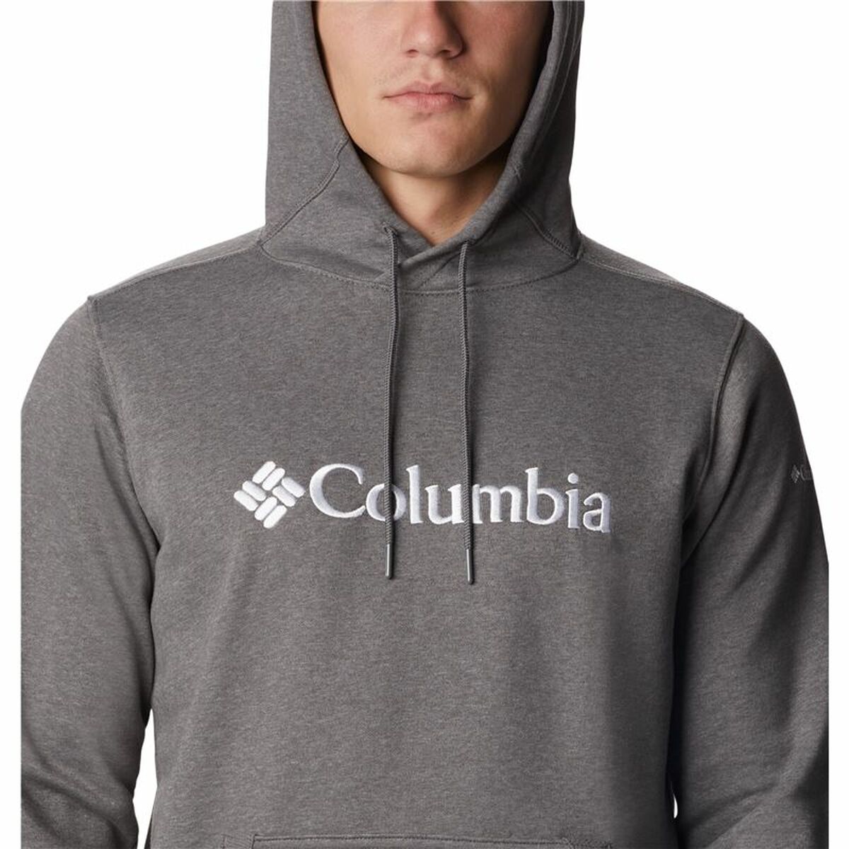 Толстовка с капюшоном мужская Columbia CSC Basic Logo Темно-серый-2
