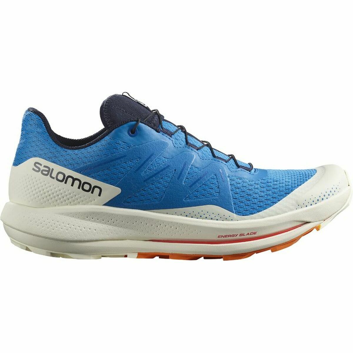 Беговые кроссовки для взрослых Salomon Pulsar Trail Синий-2