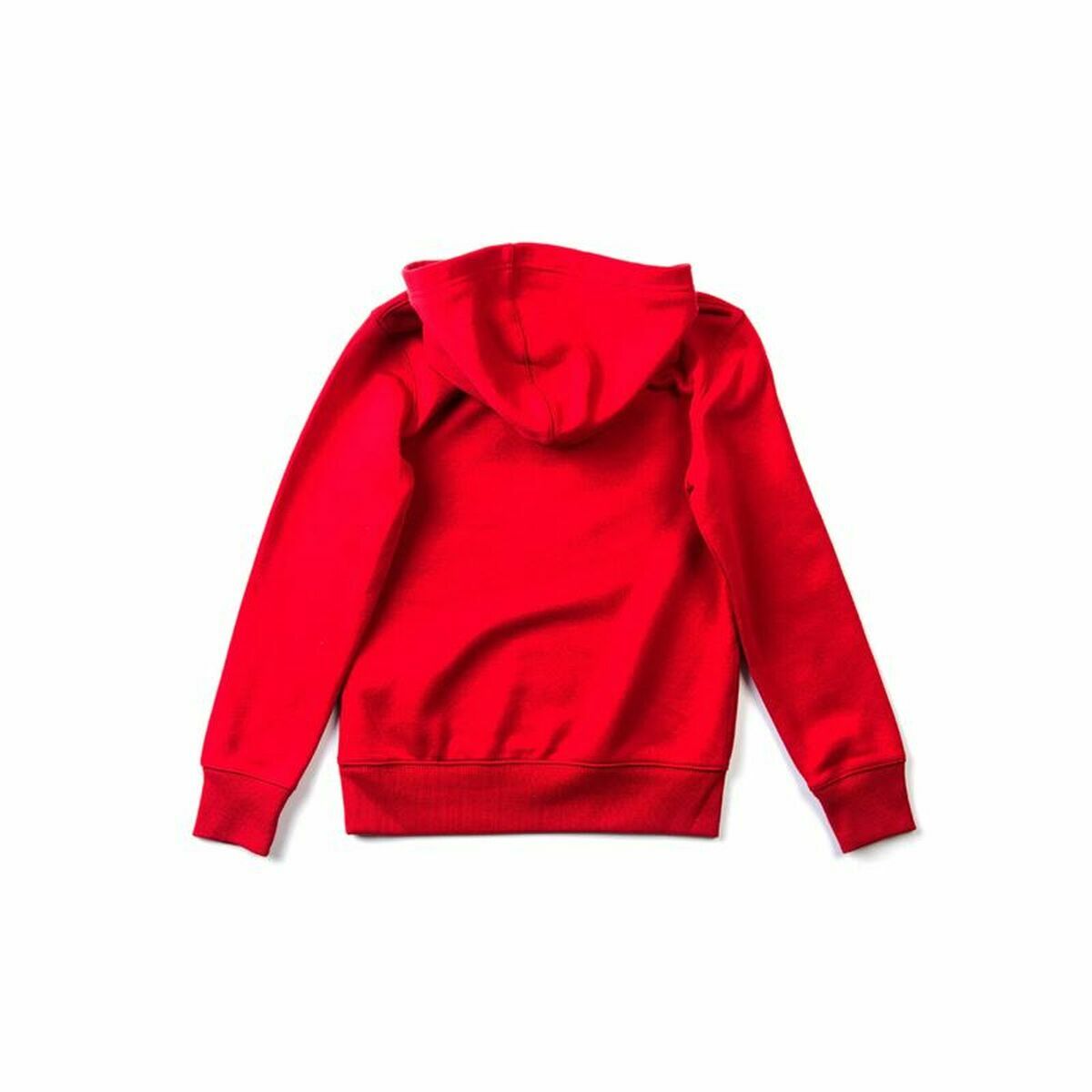 Толстовка с капюшоном унисекс Converse Ctp-2