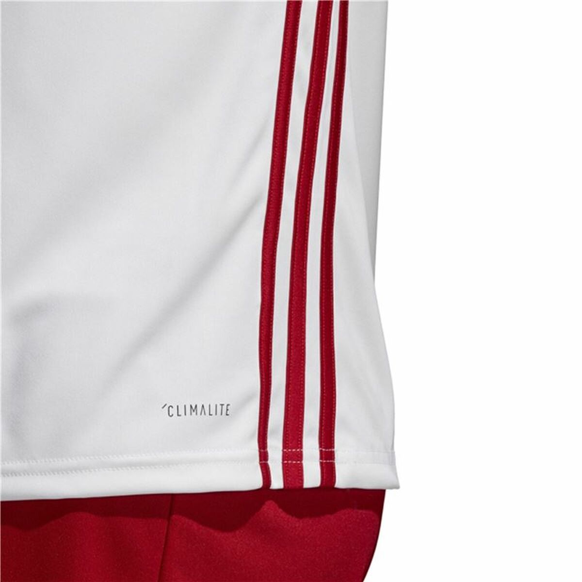Спортивная футболка с коротким рукавом, детская Adidas Regista 18-2