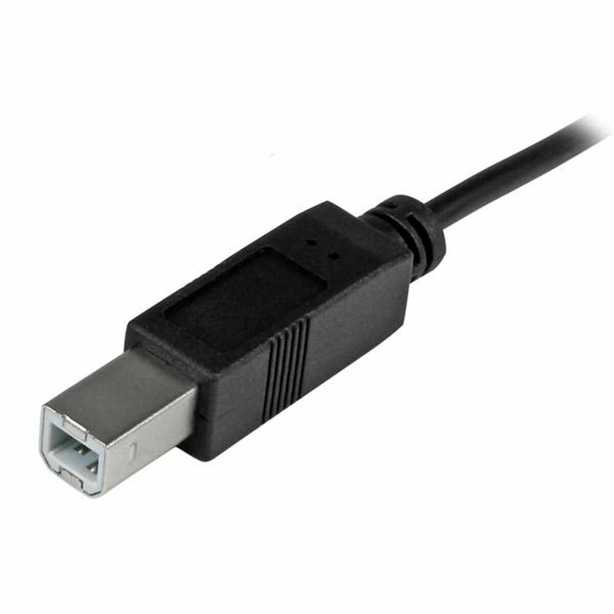 Кабель USB C - USB B Startech USB2CB2M Чорний 2 m Різнобарвний-2