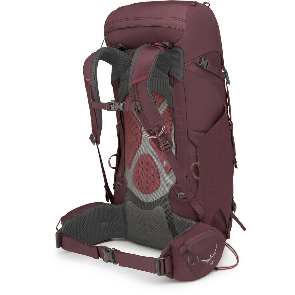 Походный рюкзак OSPREY Kyte Пурпурный 38 L-2