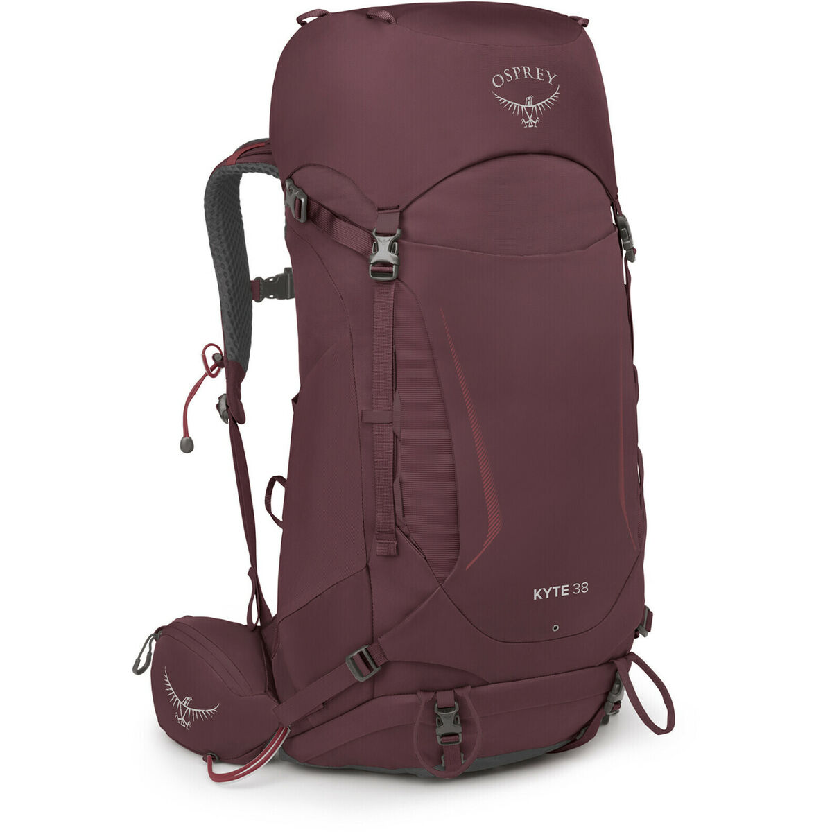 Походный рюкзак OSPREY Kyte Пурпурный 38 L-3