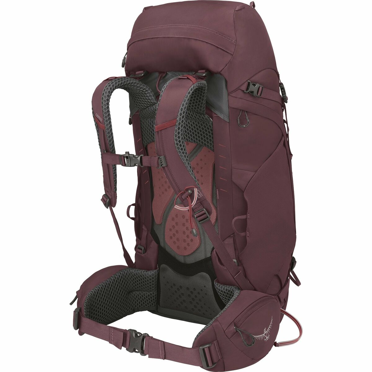 Походный рюкзак OSPREY Kyte 48 L Пурпурный-2