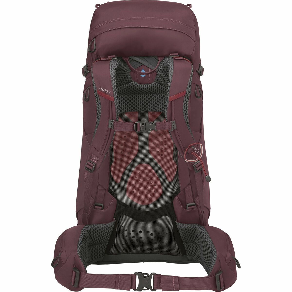 Походный рюкзак OSPREY Kyte 48 L Пурпурный-3