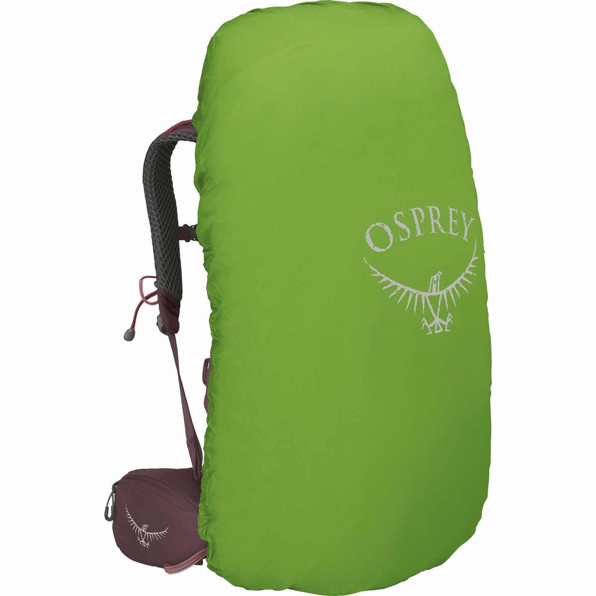 Походный рюкзак OSPREY Kyte 48 L Пурпурный-4