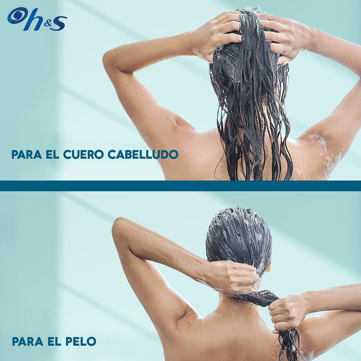Shampoo Head & Shoulders S Derma X Pro 220 ml-5