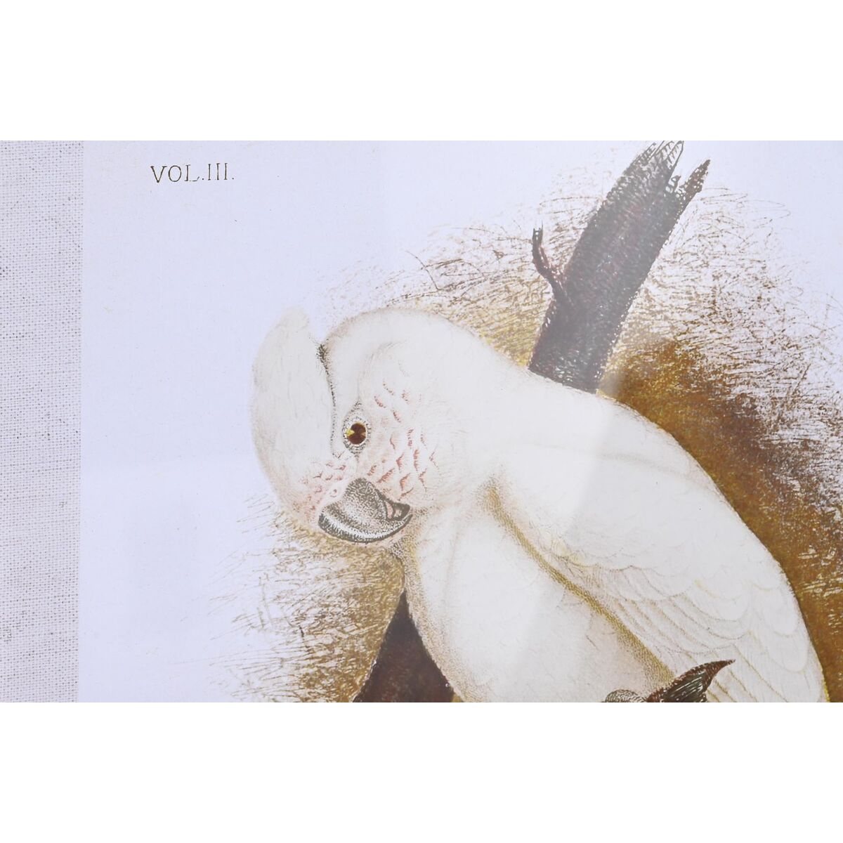 Полотно DKD Home Decor 50 x 2,8 x 65 cm 50 x 65 x 2.8 cm Попугай Cottage (4 Предметы)-3