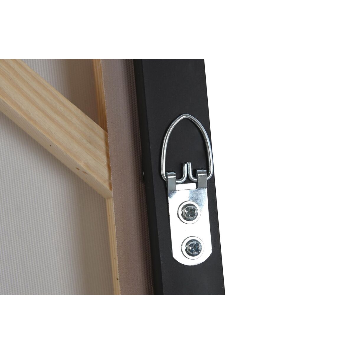 Картина DKD Home Decor 123 x 4,5 x 83 cm 83 x 4,5 x 122,5 cm Плюмаж Cottage (2 штук)-3