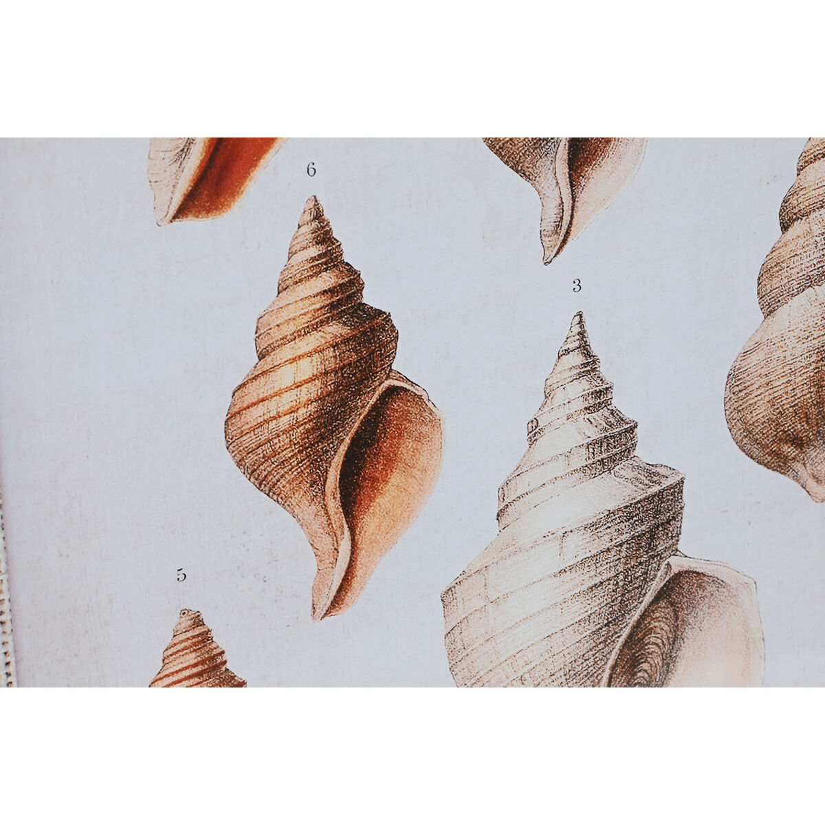 Картина DKD Home Decor 50 x 2.5 x 70 cm 50 x 2,5 x 70 cm (2 штук)-3