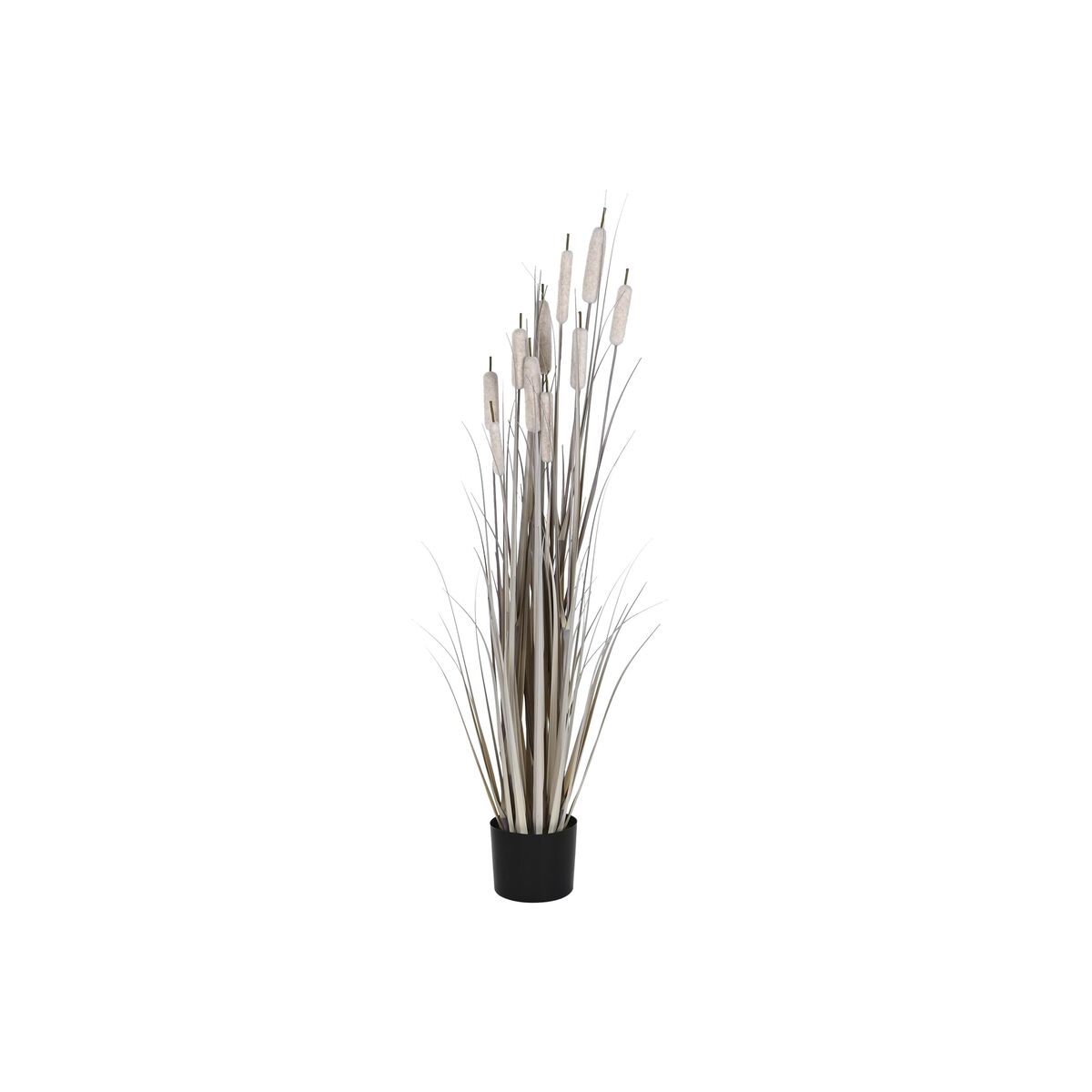 观赏植物DKD Home Decor甘蔗(35 x 35 x 120 cm)