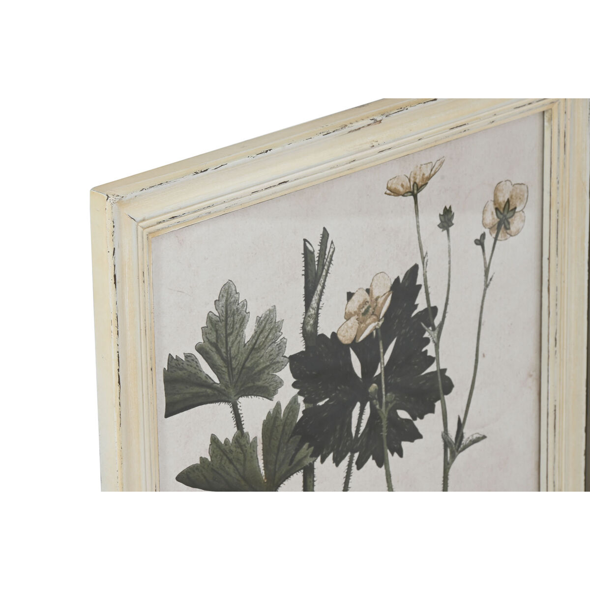 Сурет Home ESPRIT Shabby Chic Ботаникалық өсімдіктер 40 x 1,5 x 50 см (6 дана)-2