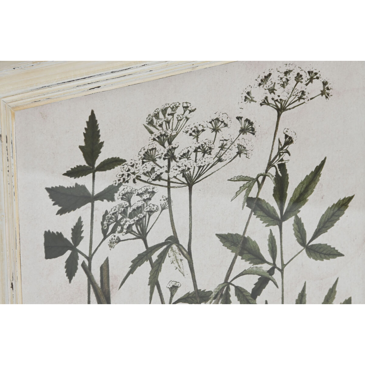 Сурет Home ESPRIT Shabby Chic Ботаникалық өсімдіктер 40 x 1,5 x 50 см (6 дана)-3