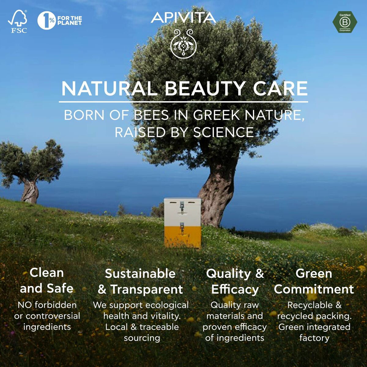 Crema per il viso Apivita Queen Bee antiviolenza 50 ml-6