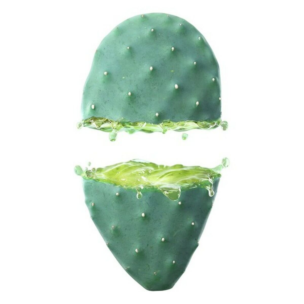 Увлажняющий крем для лица Cactus Opuntia 24h Weleda (30 ml)-5