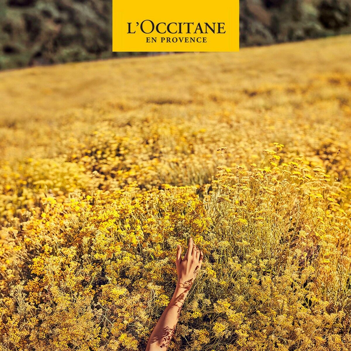 Дезодорант L'Occitane En Provence Homme Roll-On 50 ml-2