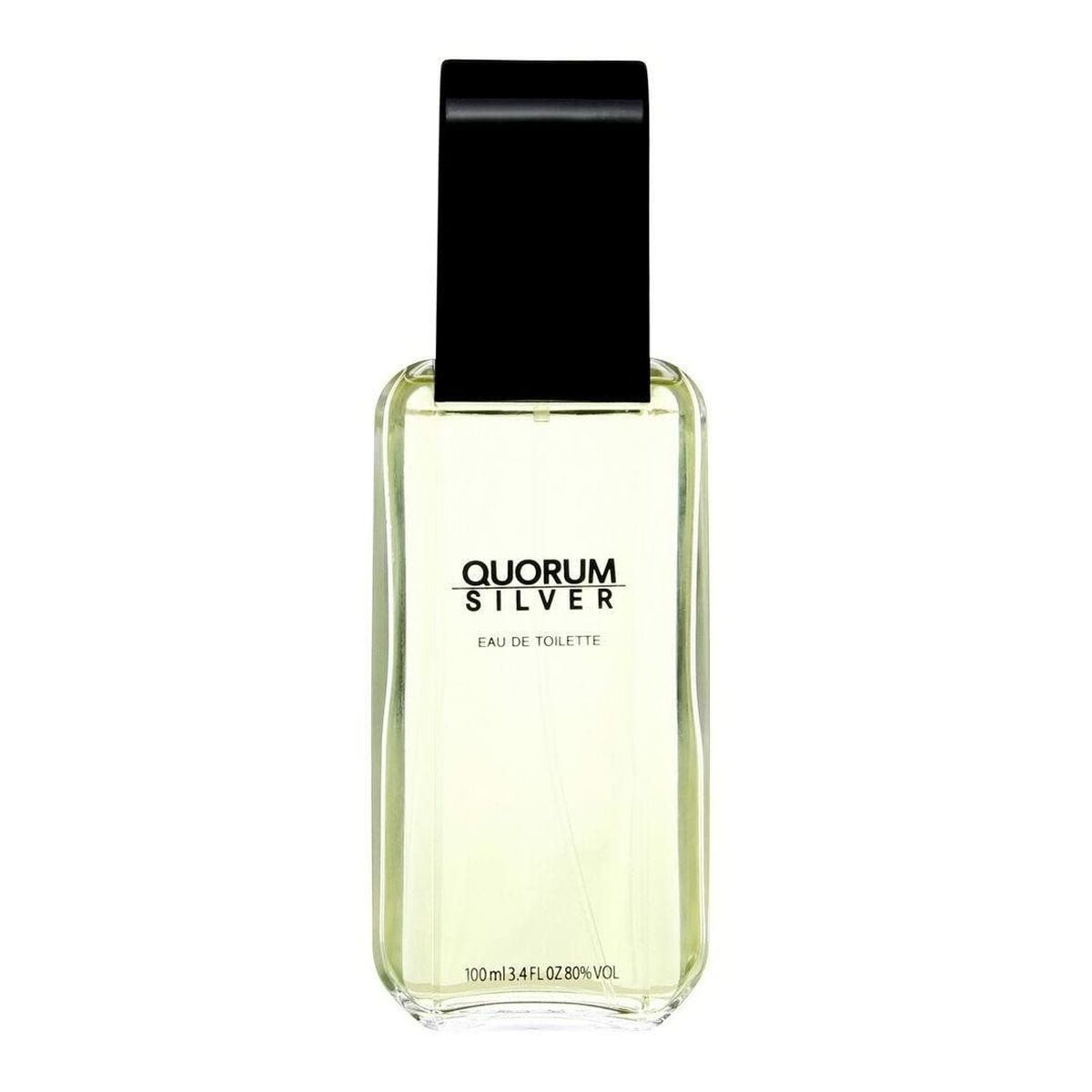 Мужская парфюмерия Antonio Puig EDT Silver Quorum 100 ml-2