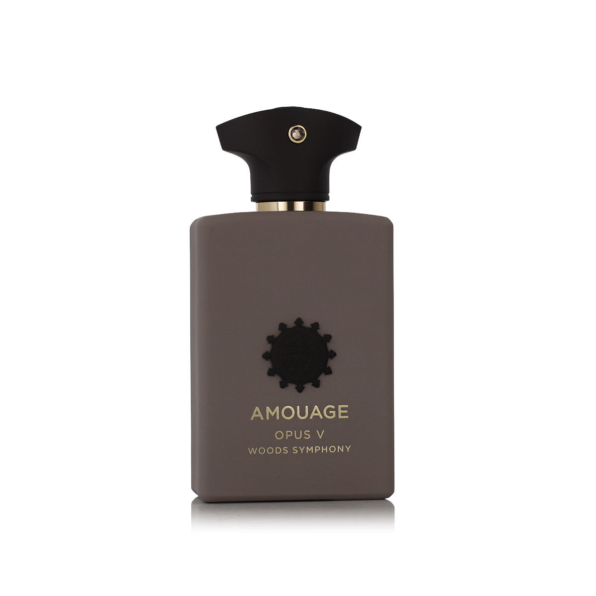 Unisex perfume Amouage Opus V - Woods Symphony EDP 100 ml-2