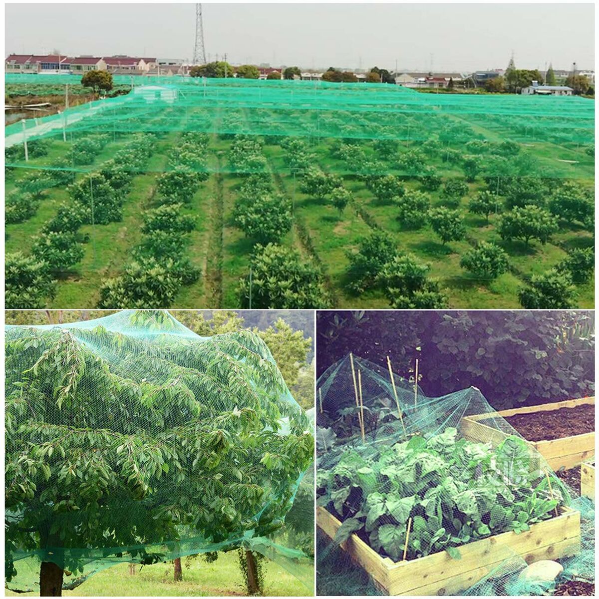 Зеленая сетка 4 X 10 M (Пересмотрено A+)-2