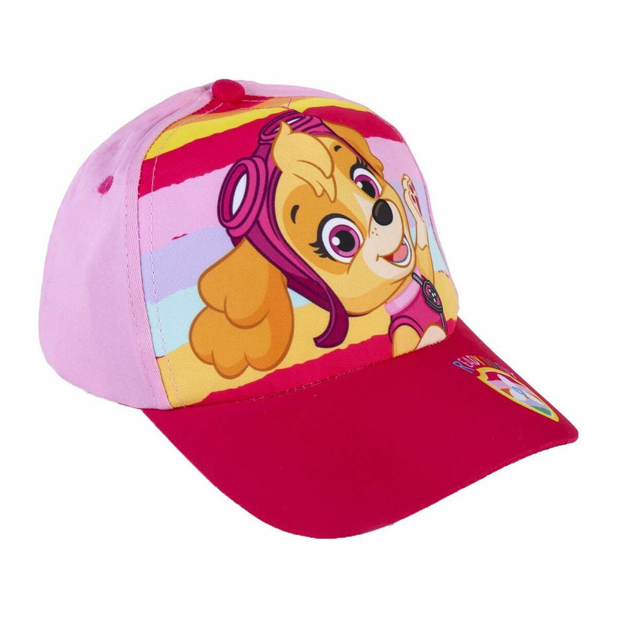 Lunettes de soleil pour enfants The Paw Patrol Sky Multicolore Unisexe-5