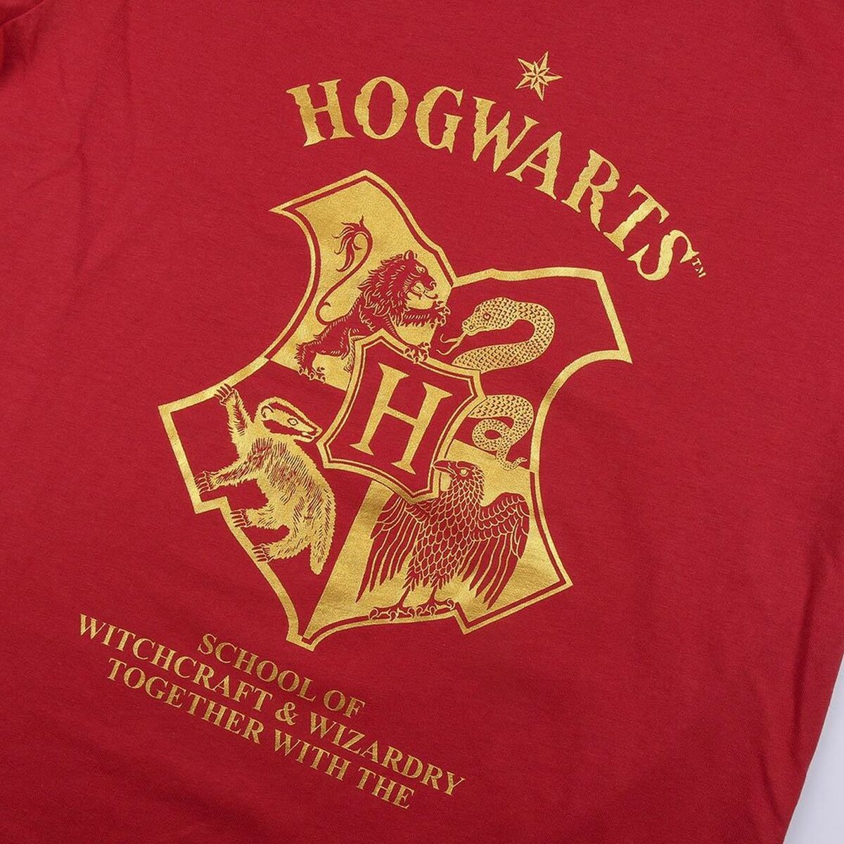 Летняя пижама для мальчиков Harry Potter Красный Женщина Темно-красный-2