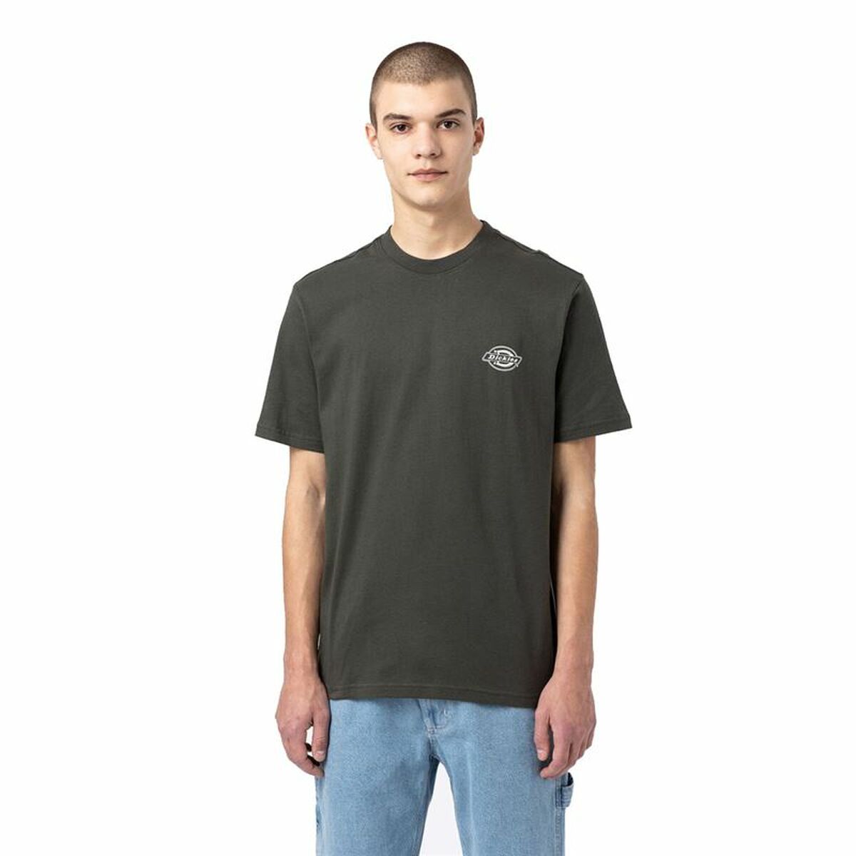 Dickies Holtville Green Men's Short Sleeve T-Shirt-4