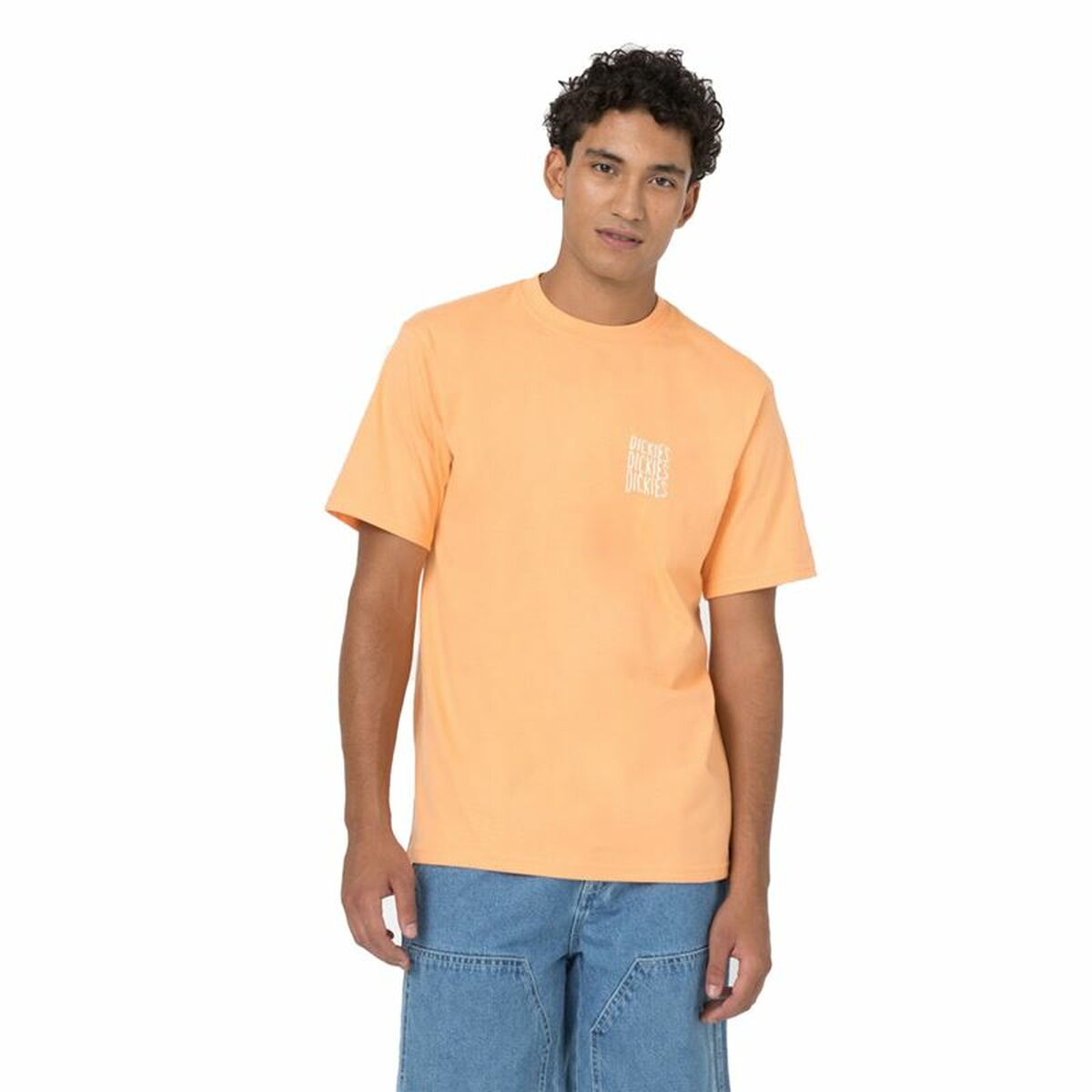 Dickies Creswell Short Sleeve T-Shirt Orange Men's-4