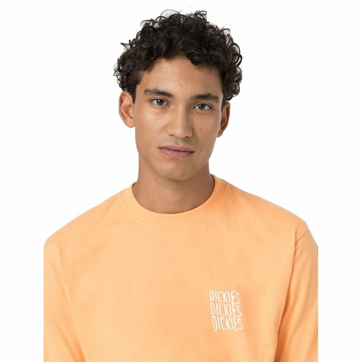 Dickies Creswell Short Sleeve T-Shirt Orange Men's-7