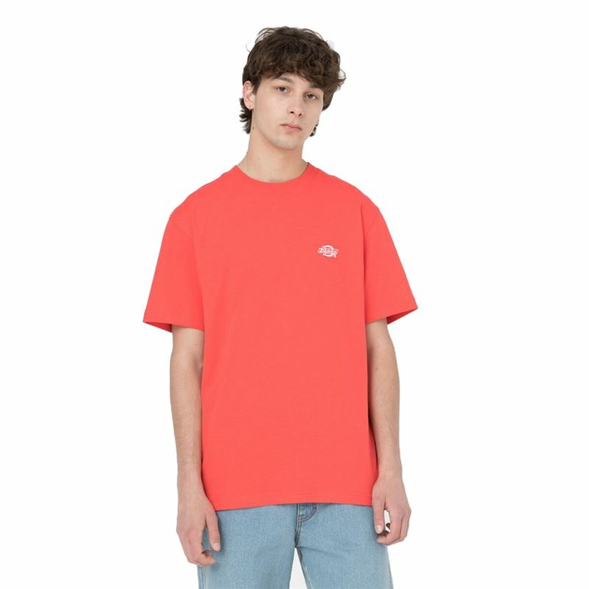 Dickies Summerdale Men's Short Sleeve T-Shirt-7