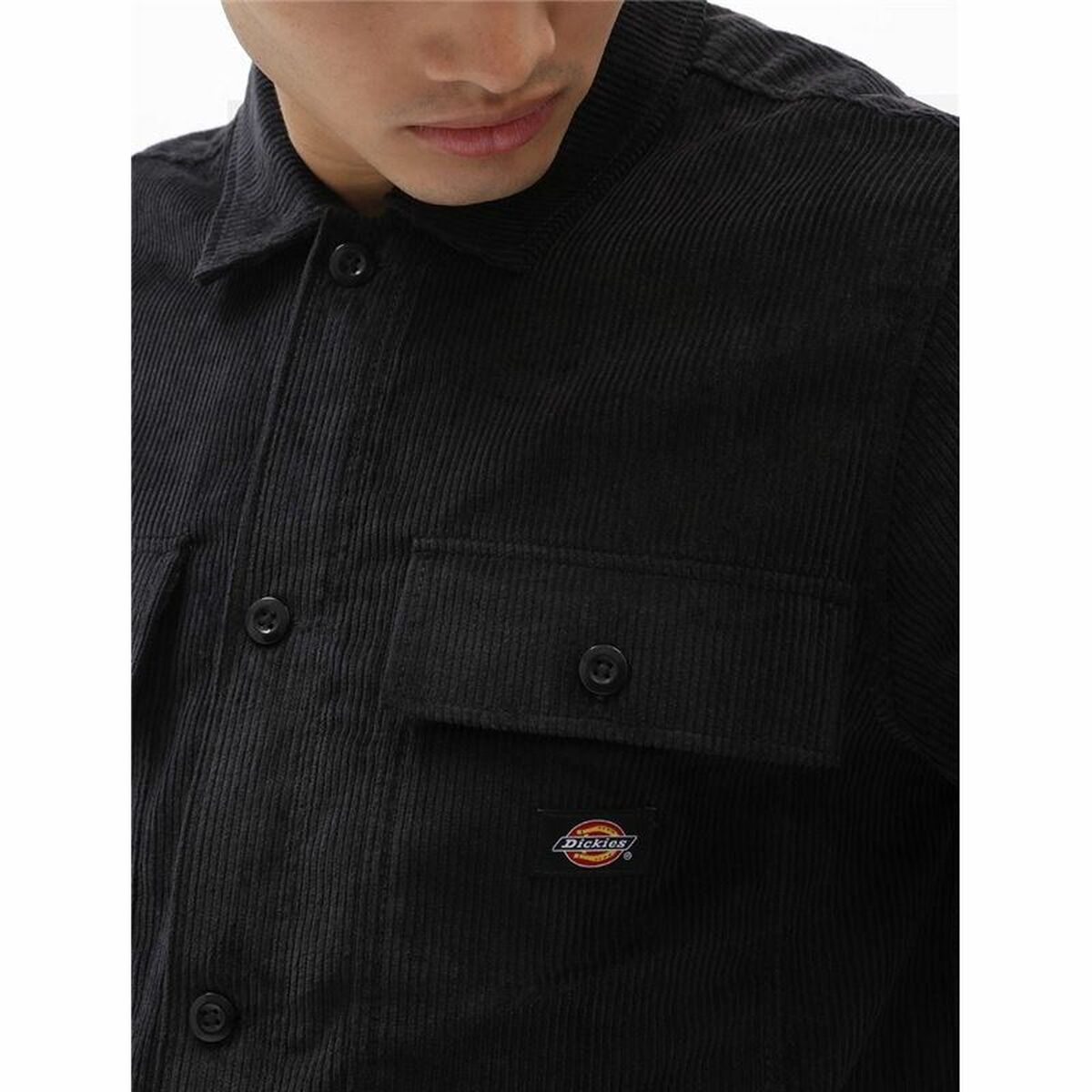 Куртка для взрослых Dickies Higginson chaqueta-3
