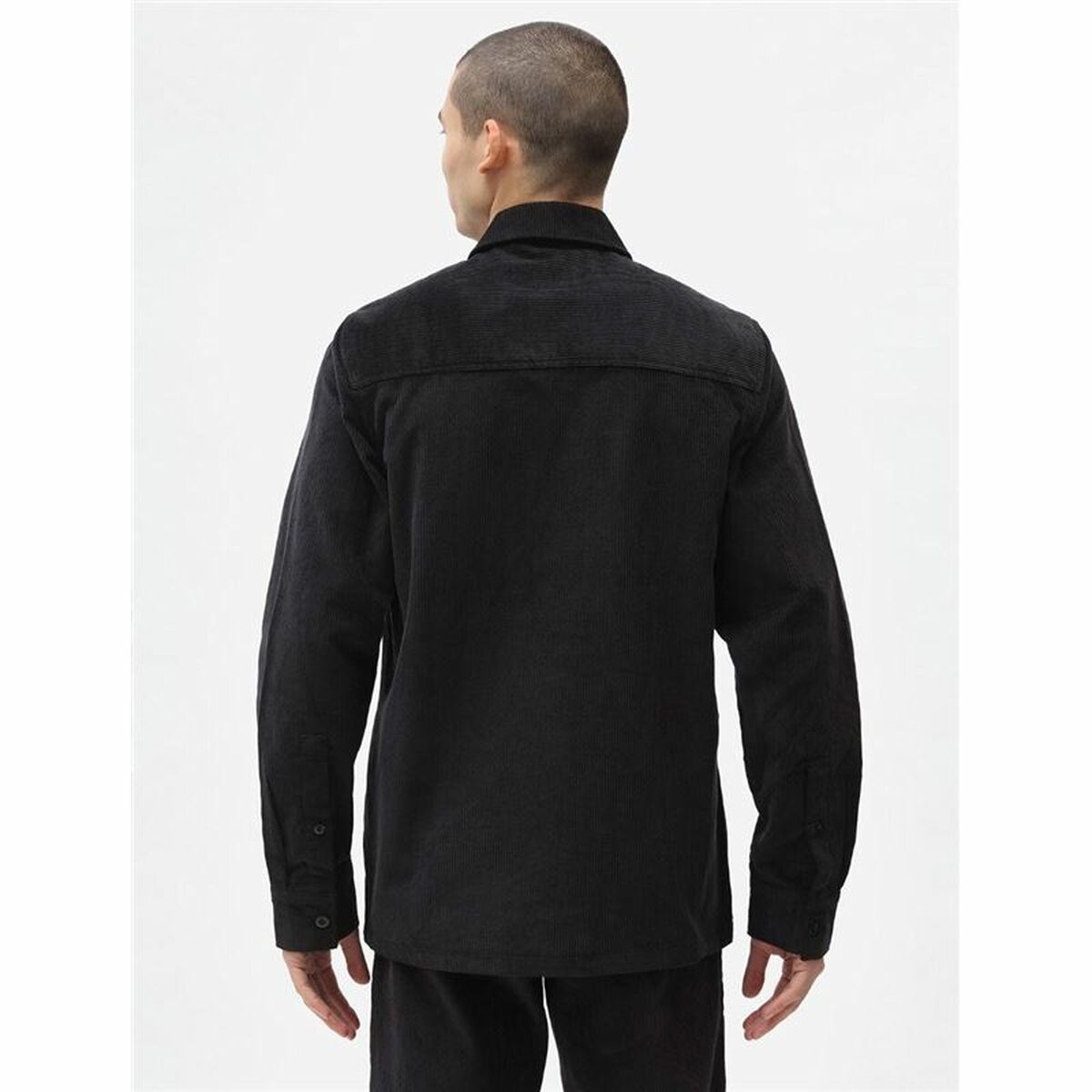 Куртка для взрослых Dickies Higginson chaqueta-5