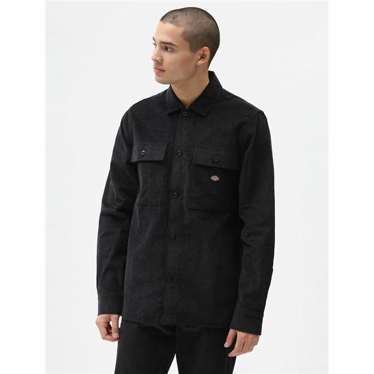 Куртка для взрослых Dickies Higginson chaqueta-6
