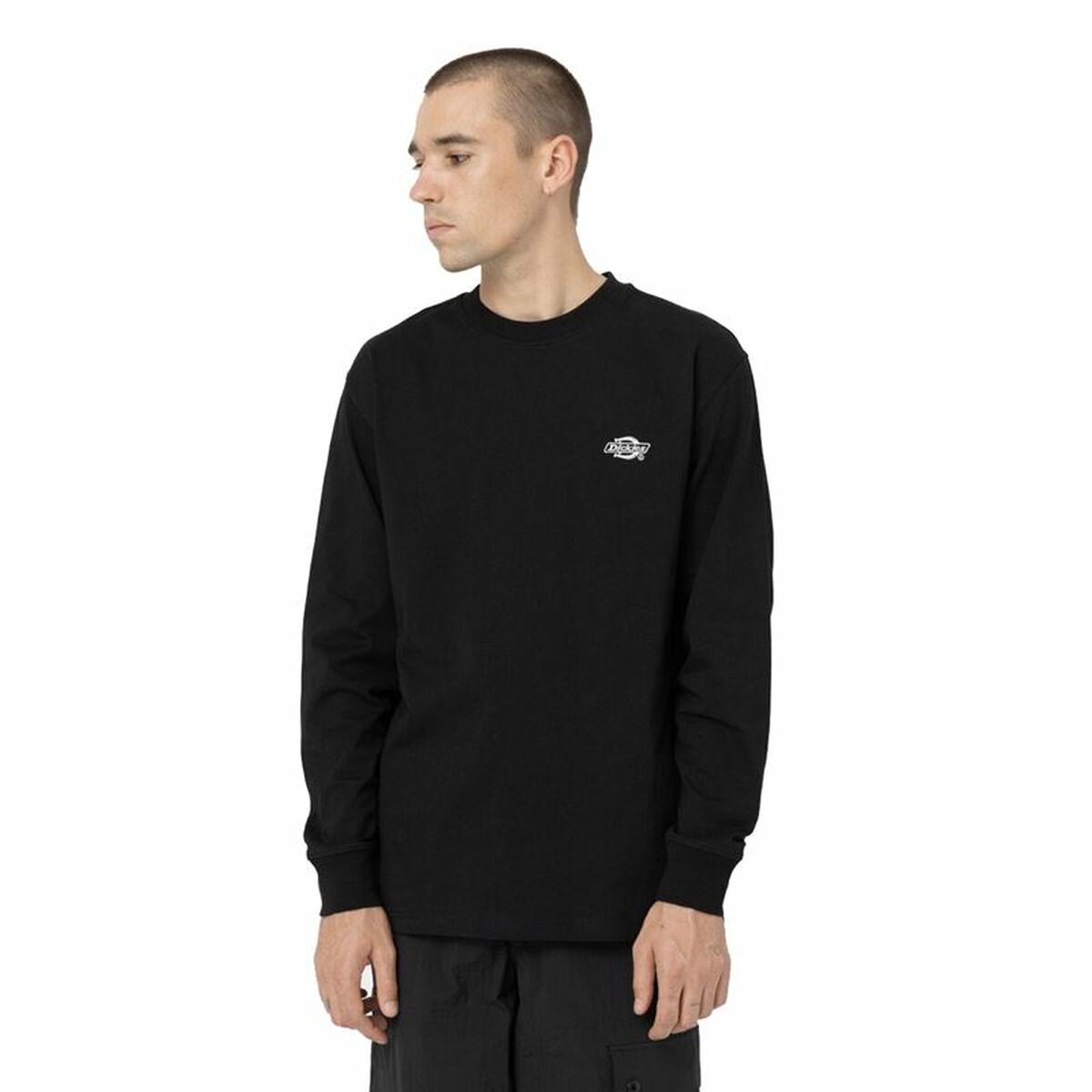 无帽运动衫男子Dickies Summerdale白色