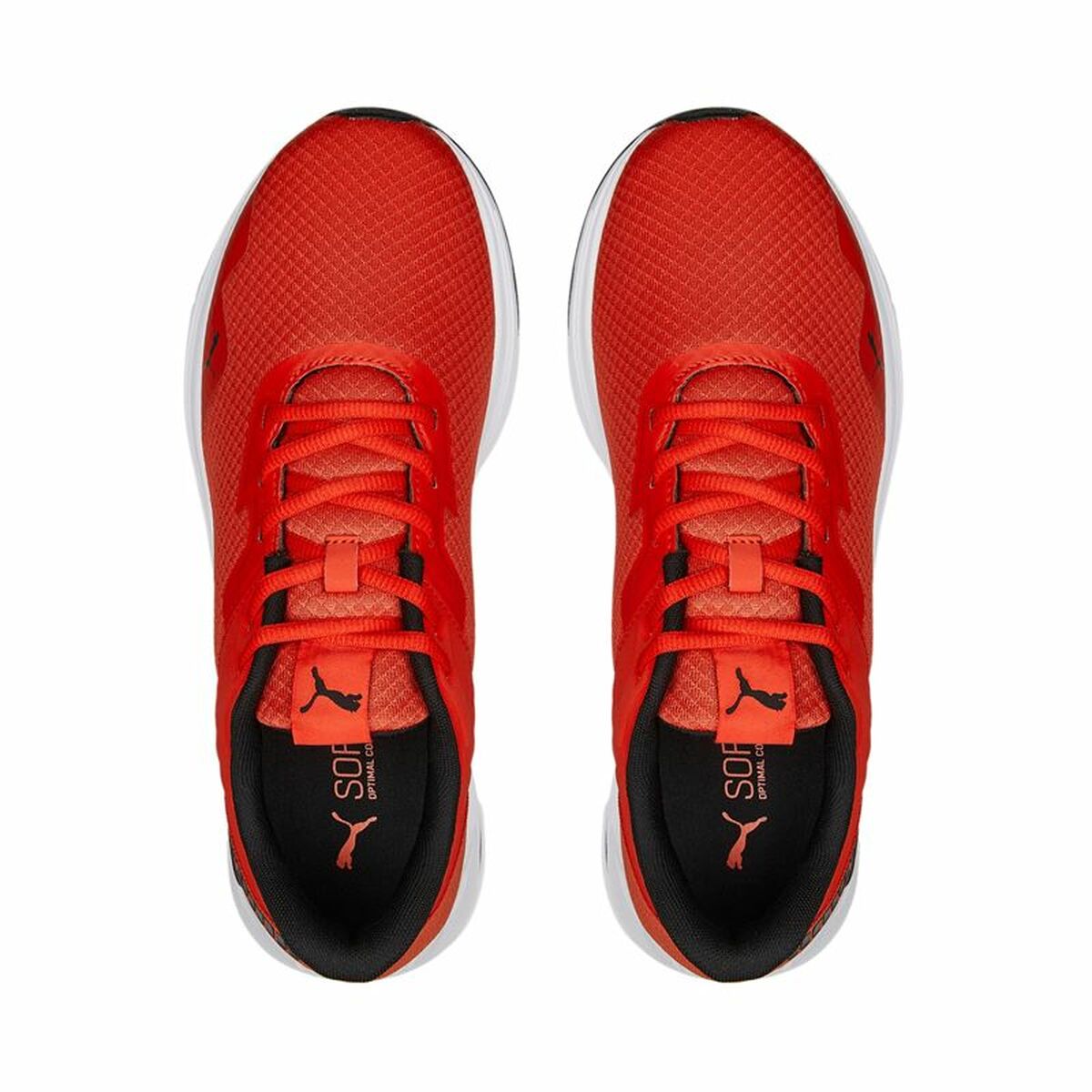 Кроссовки Puma Disperse XT 2 Mesh Красный-4