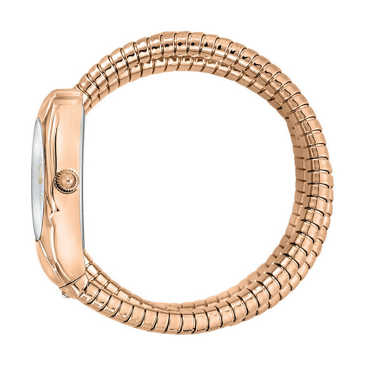 Orologio femminile Just Cavalli SNAKE ( 22 mm)-3