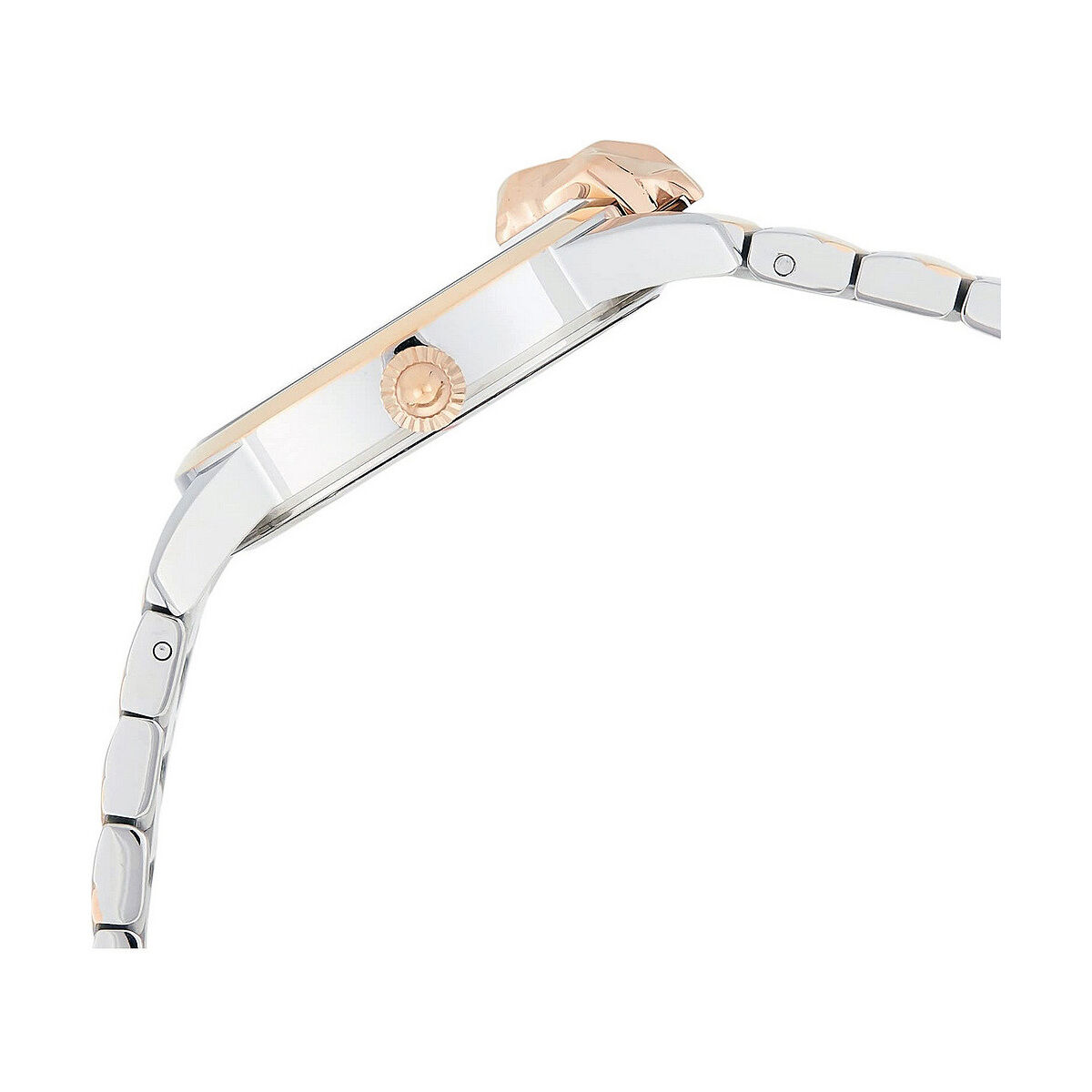 Orologio femminile Just Cavalli ANIMALIER ( 32 mm)-3